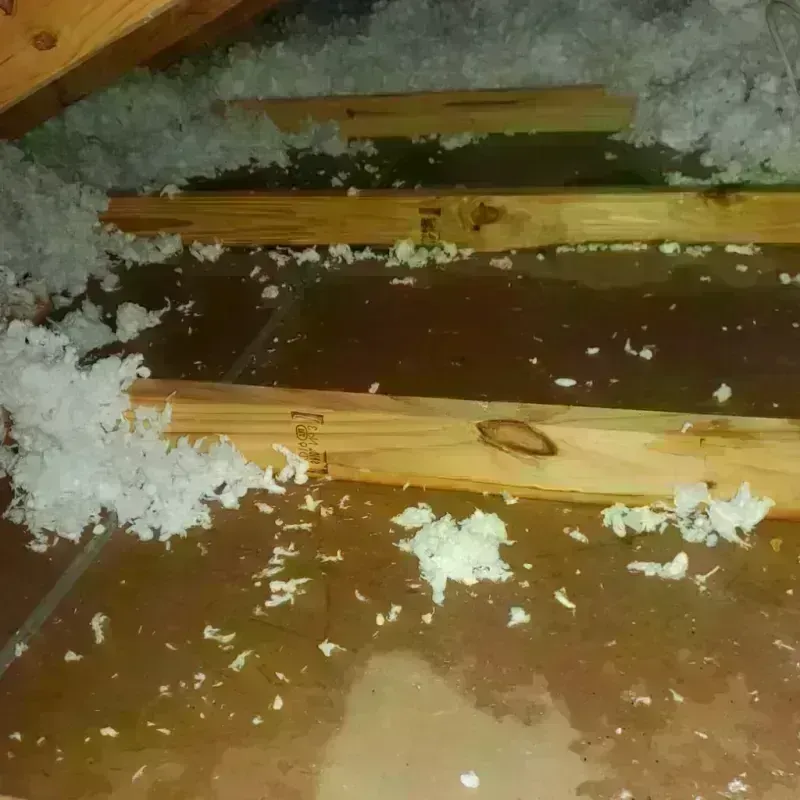 Attic Water Damage in Pinetops, NC