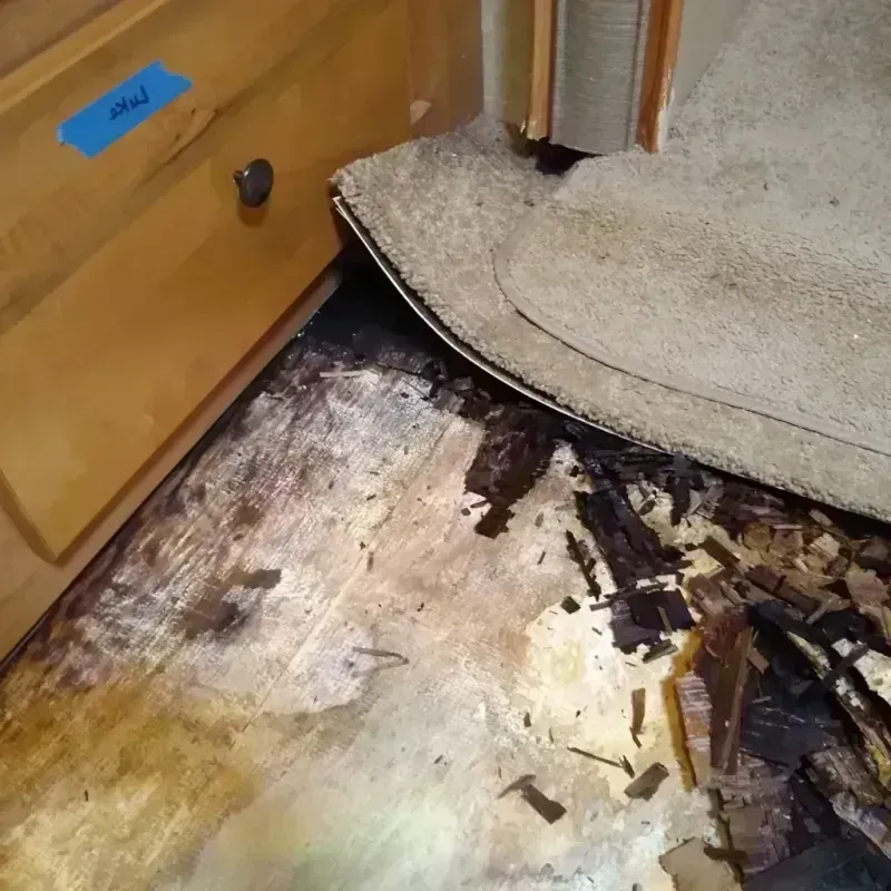 Wood Floor Water Damage in Pinetops, NC